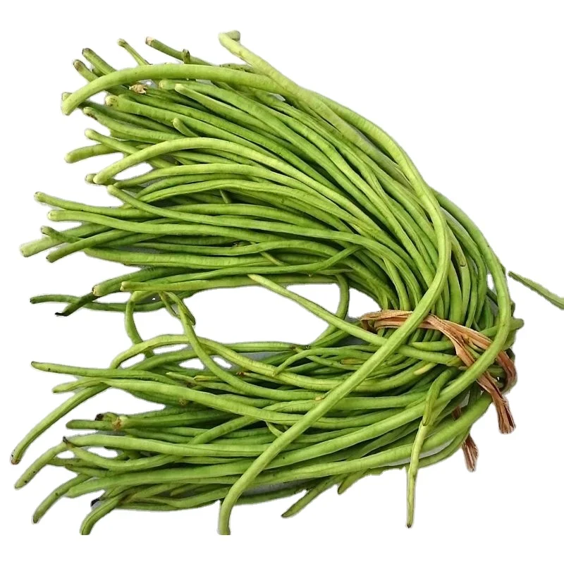 MN GLOBAL IMPEX Indian company export for Cow Pea