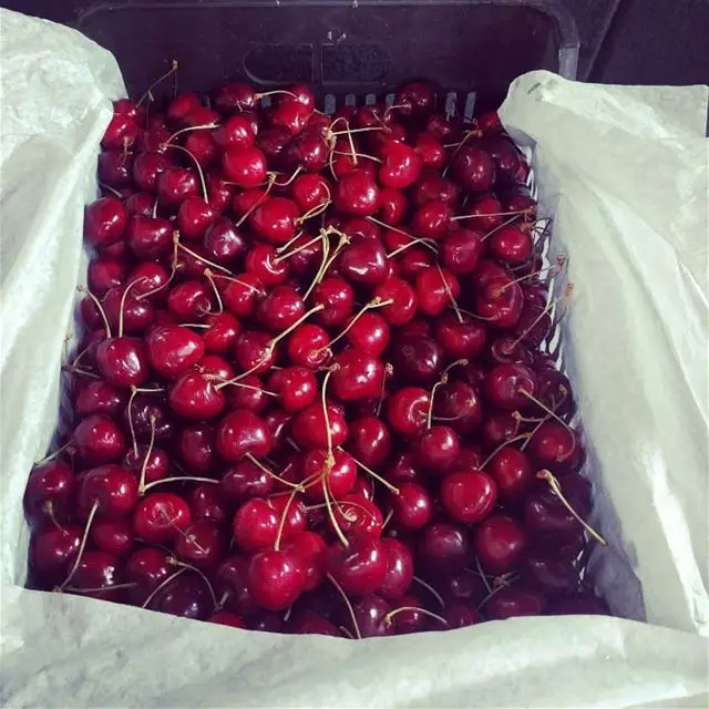 Fresh Dark Red Cherries / Fresh Cherries Fruits For Sale