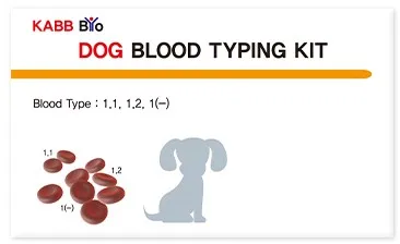 Valuable Dog Health Care Blood Typing Test Kit made in Korea 2023