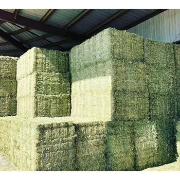 Fresh Green Alfalfa Hay/Hay Alfalfa/Animal Feed Made in Bales of All Sizes