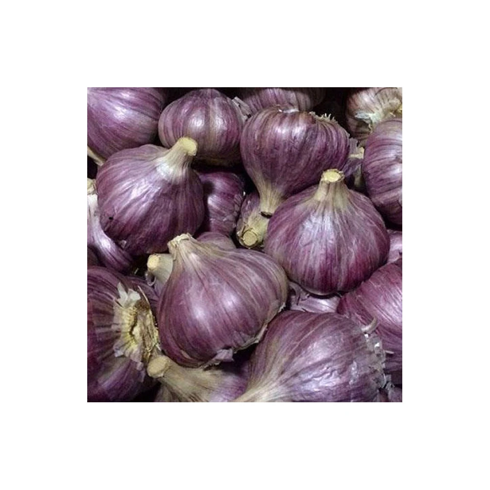 Свежий натуральный чеснок цена Новый Урожай горячие продажи