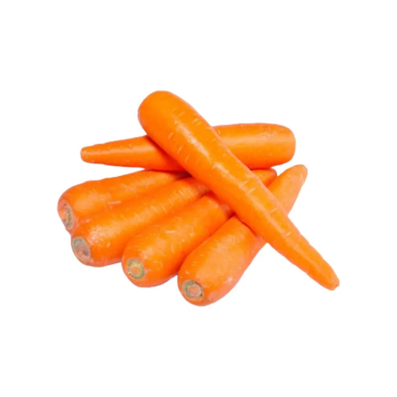 Wholesales fresh carrot various sizes S M L 2L to choose - Reliable Vietnamese Supplier