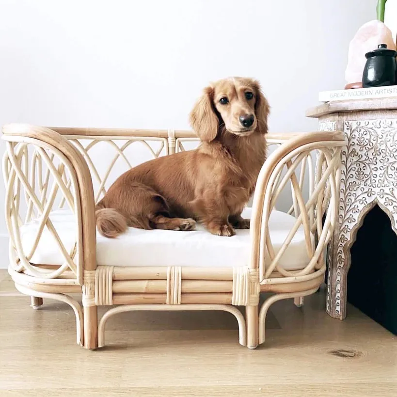 Cheap dog bed fun and  portable dog beds rattan sleeping pet basket