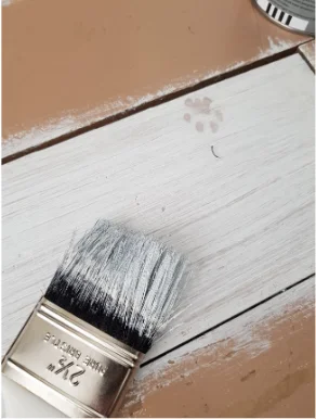 Nano Zinc Colloidial Dispersion Long Term Antifungal Effect