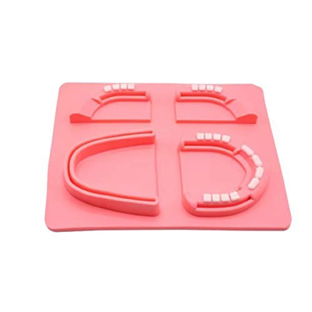 Dental Module Suture Training Kit Simulated Oral Suture Model for Dental Medical Training Tooth and Gingival Suture Practice Pad