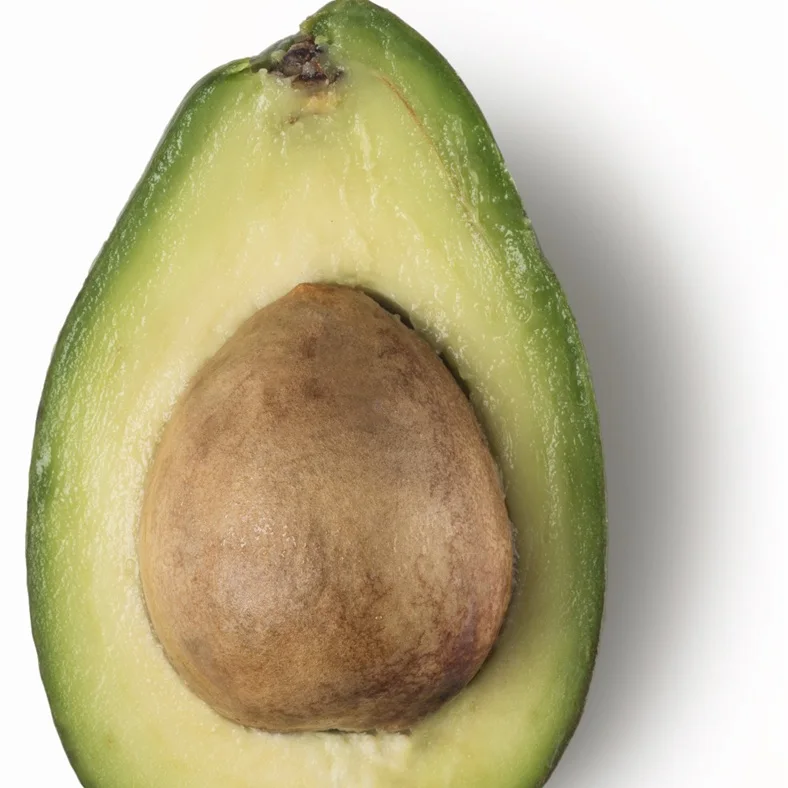 Affordable Fresh Avocado Pure and Natural For Wholesales