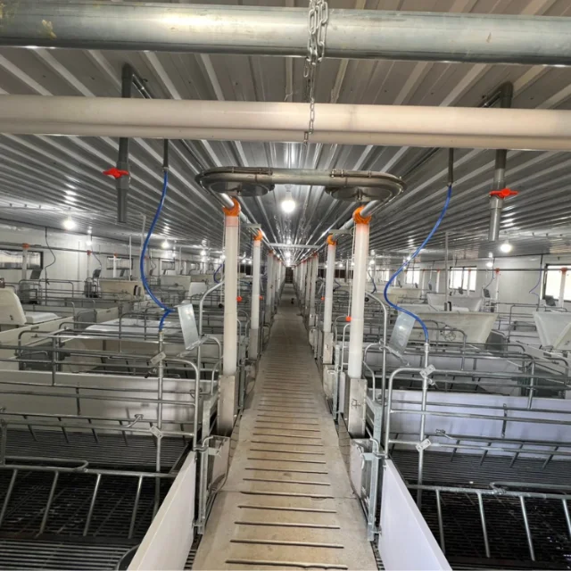 Newly designed pig farming equipment  made of stainless hot-dip galvanized steel for wholesale and retail sale made in Viet Nam