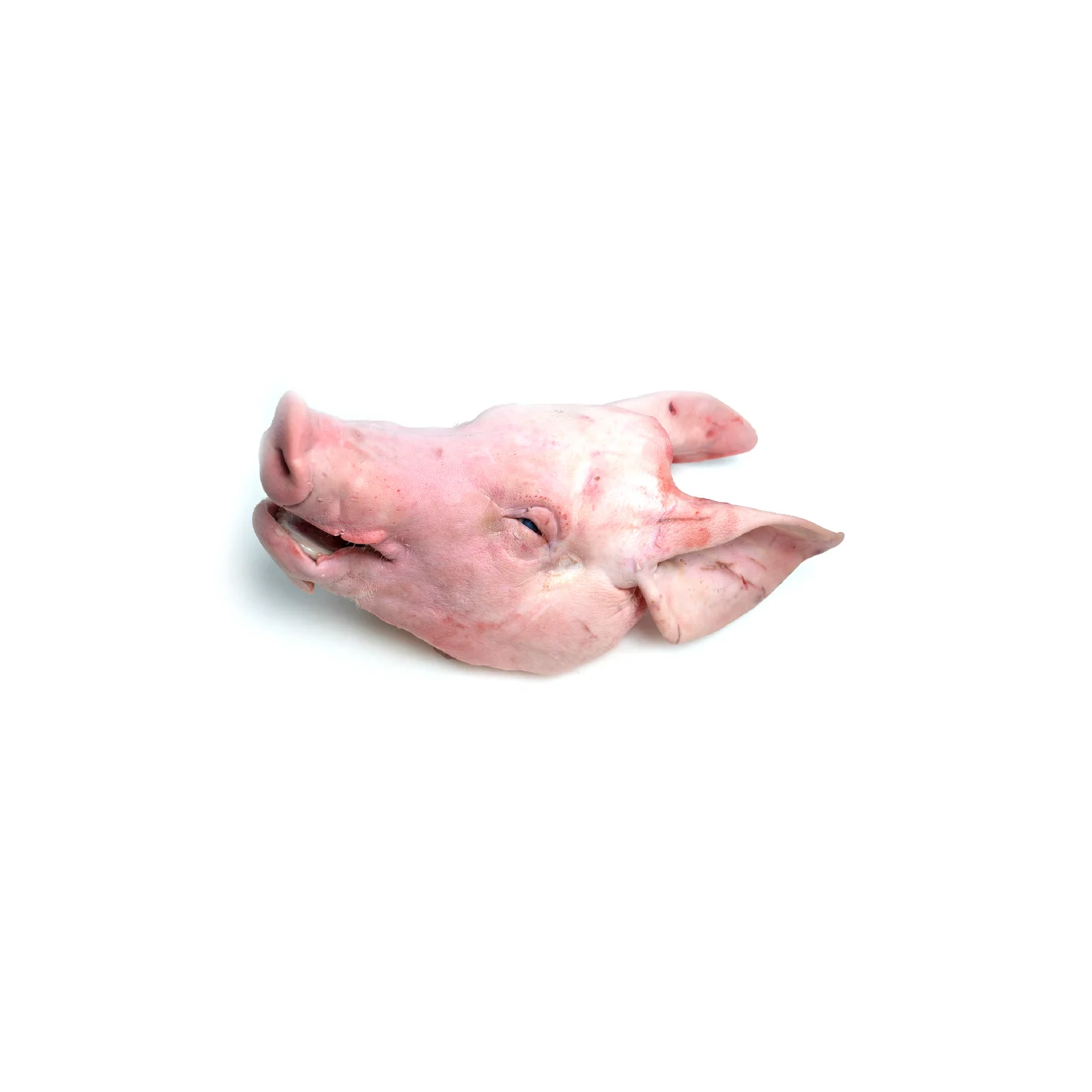 Frozen Pork Heads - Complete with Ears and Tongue - High-Quality Meat for Cooking, Roasting Wholesale Prices and Global Shipping