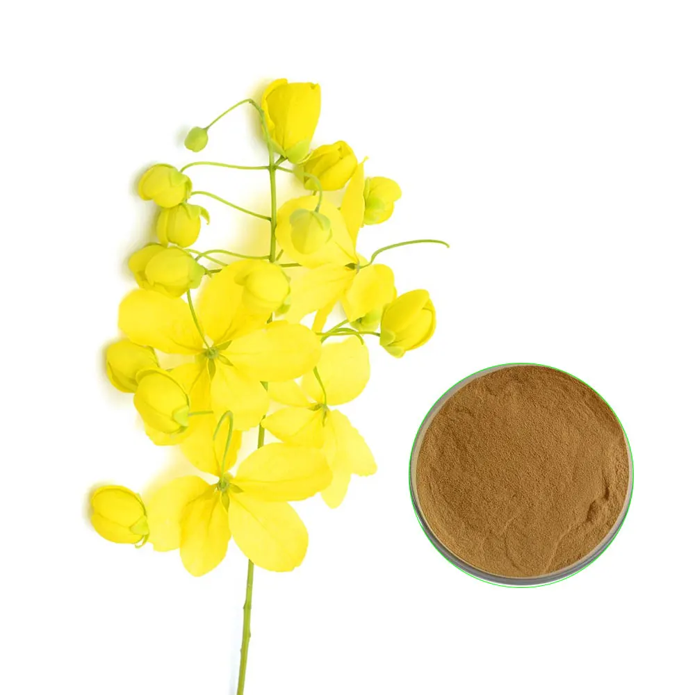 High Quality Amaltash Extract Powder Available Wholesale Price Customization available, Private labeling