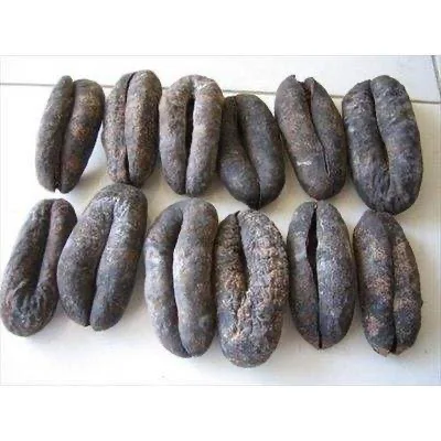 Dry Sea Cucumber WITH GOOD Price