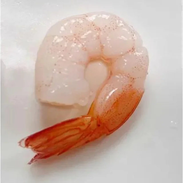 live shrimp for sale