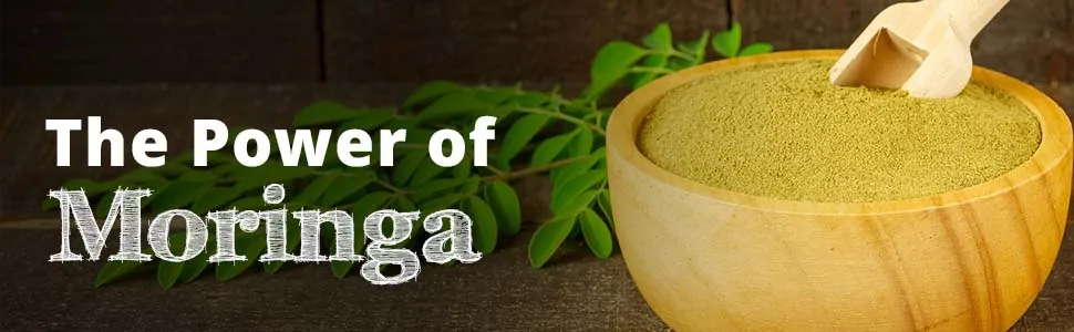 the power of moringa