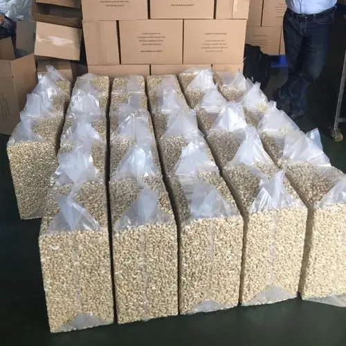 Cashew Nuts / Cashew W180 W240 W320 W450