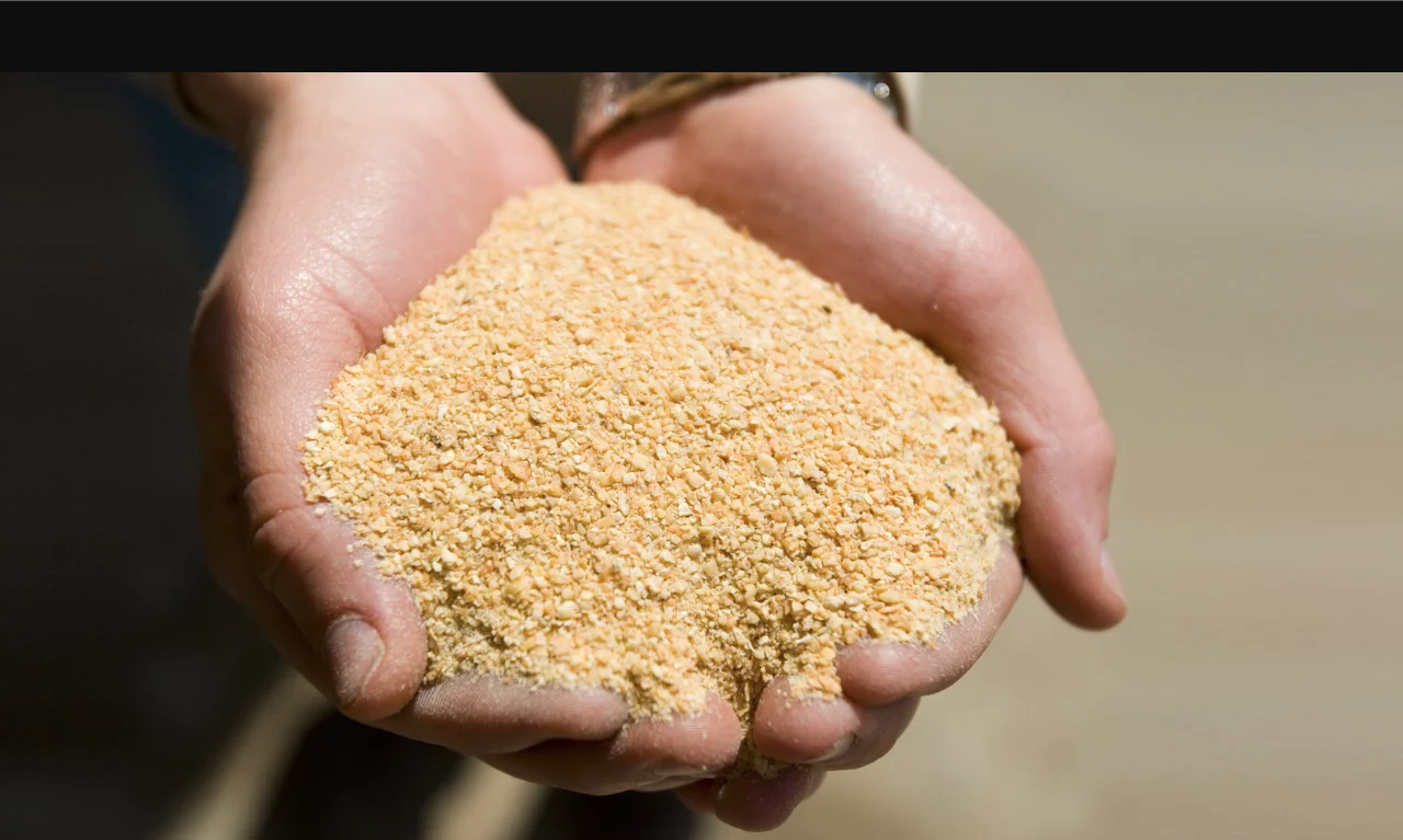 100% Natural High Quality Soybean Meal Largest Stock And Supply Worldwide For The Best Market Rates From Bangladesh