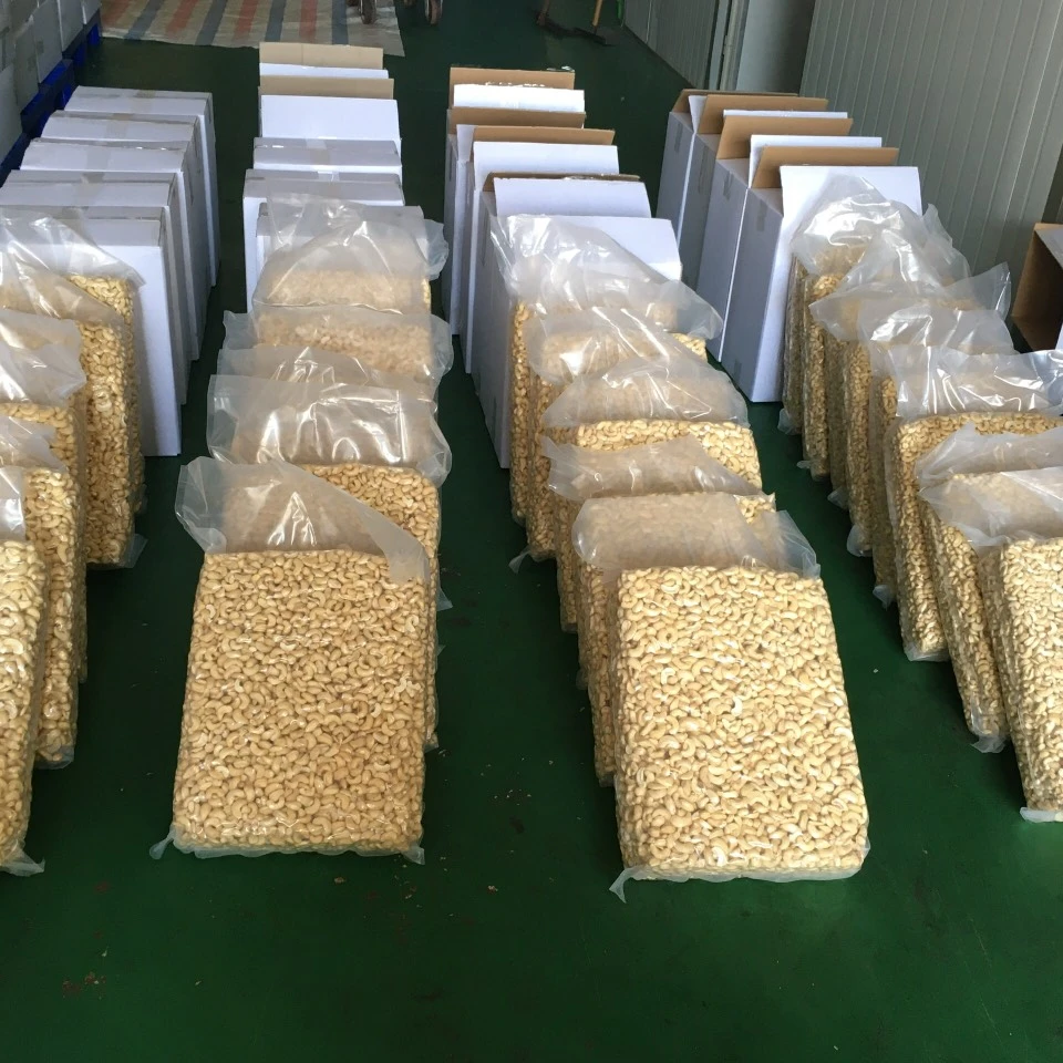 VIETNAM RAW DRY CASHEW NUTS KERNELS - SWP -  small White Pieces grade - Packaging in PE  vacucuum, Tin /Cartons