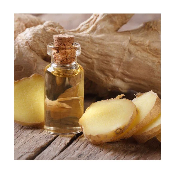 Wholesale Top Grade Massage Oil Ginger Pure Ginger Essential Oil Manufacturer