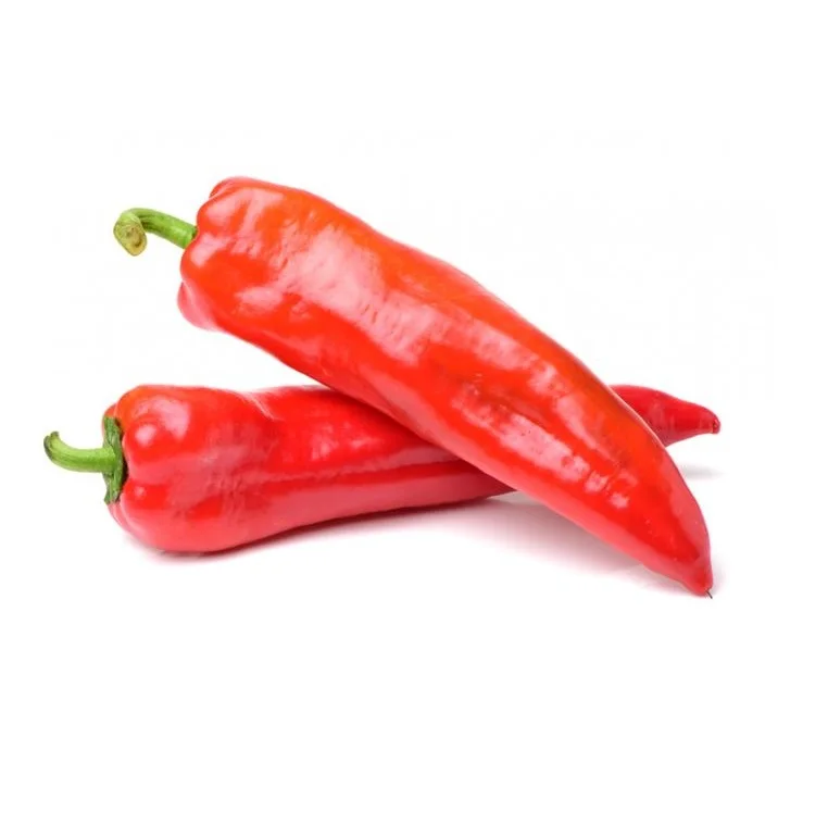 Fresh Red Chili Pepper - Wholesale Top Choice Sweet and Hot Spicy Red Chili Pepper for Cooking Process