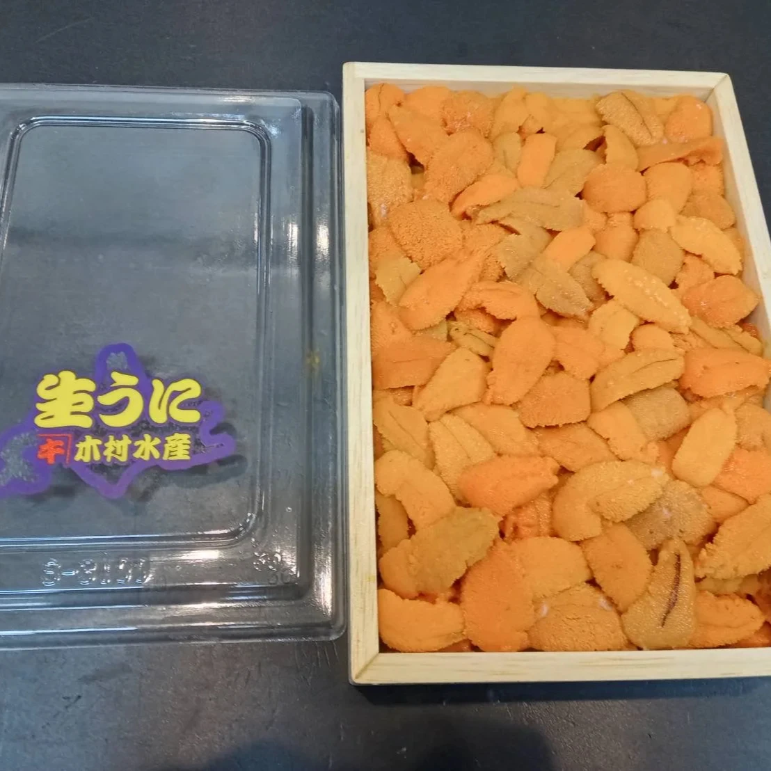 Japanese shell Fresh sea urchin marinated seafood