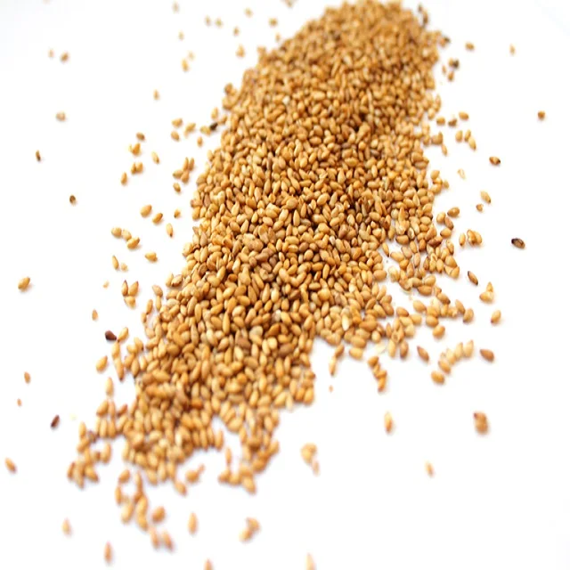 Gold Sesame seeds hulled, new season, High Quality, Grade A+ Natural 100% Color Gold, Human consumption, model number: 135