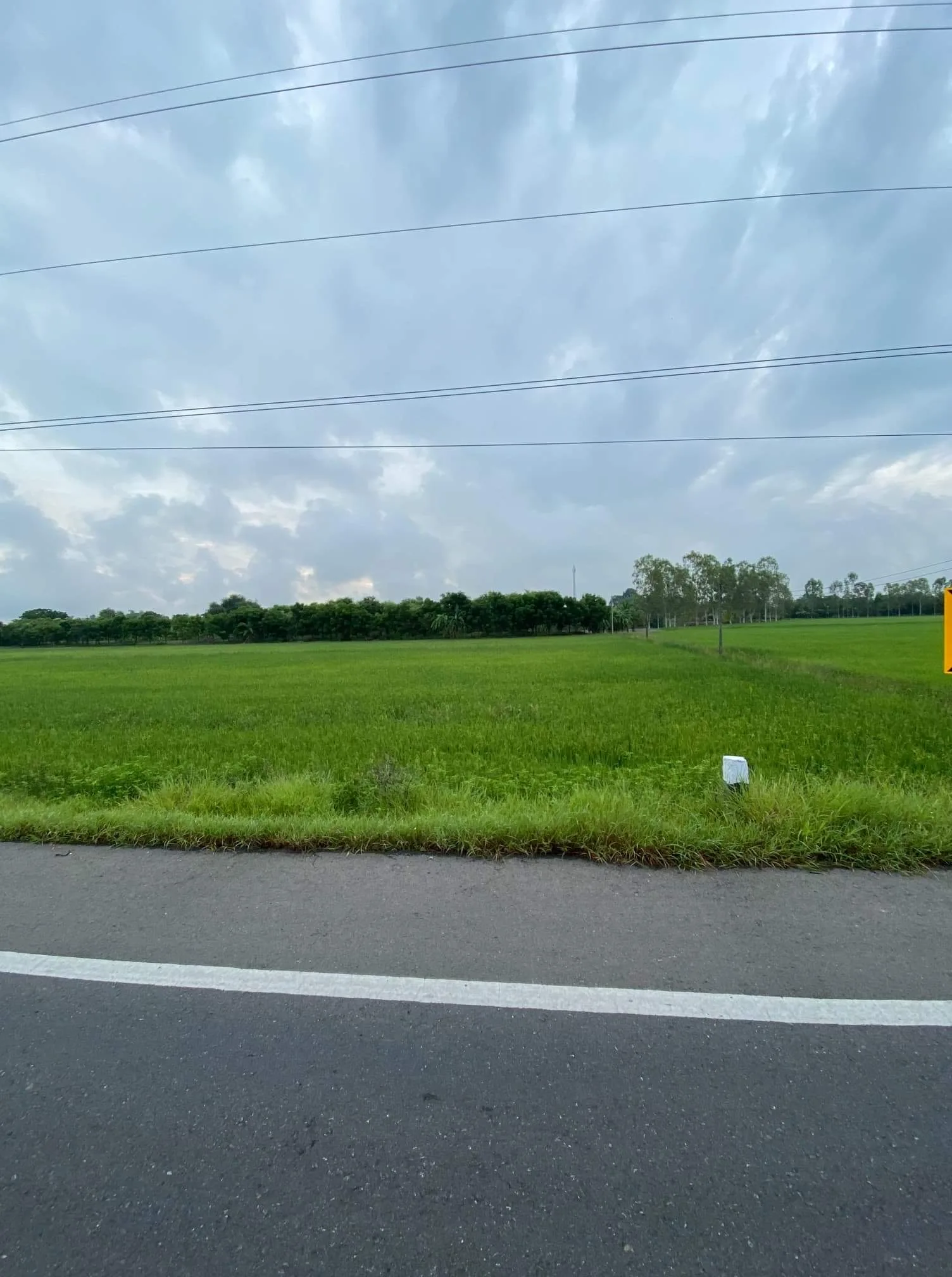 Land for Sale Land