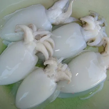 Frozen Cuttlefish IQF Style Natural Frozen Food Frozen Squid & Cuttlefish Ball