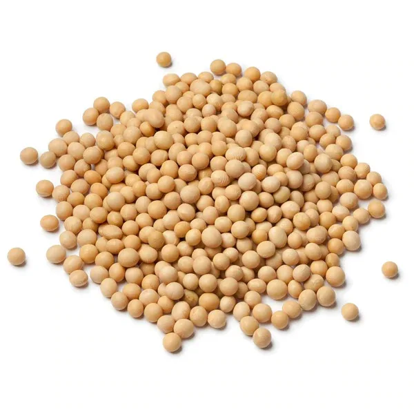 High Quality Ginkgo Nuts Dried Whole from China