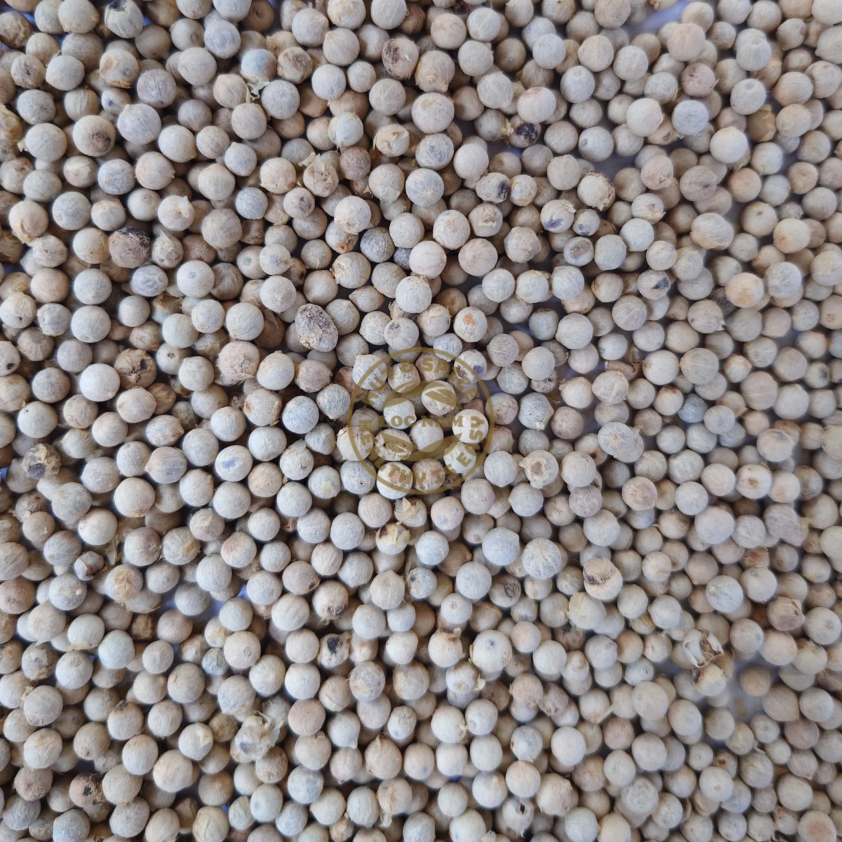 Wholesale Cheap Price Pepper Spices & Herbs Products High Quality White Pepper Vietnam origin