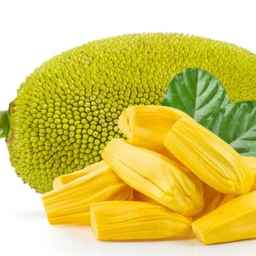 Wholesale Good Price Organic Fresh Thai Jackfruit 100% High Quality Fresh Fruit From Viet Nam 2023