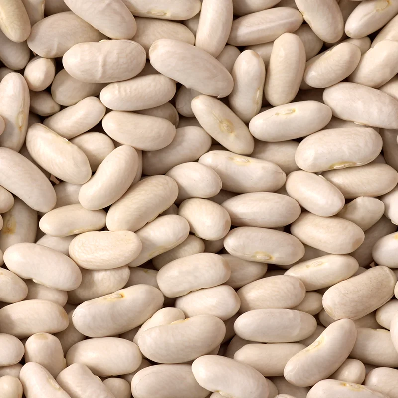 Made In Italy Customizable for Private Label Steamed Processing Cannellini beans in easy-open cans 24x400g 14,1oz