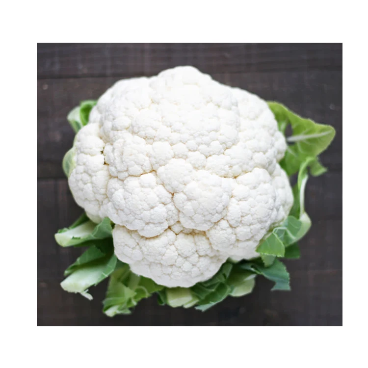 Номинальная цена самый продаваемый высококачественный свежий капучинатор в массовом