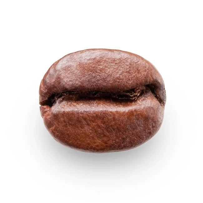COFFEE 16.jpg
