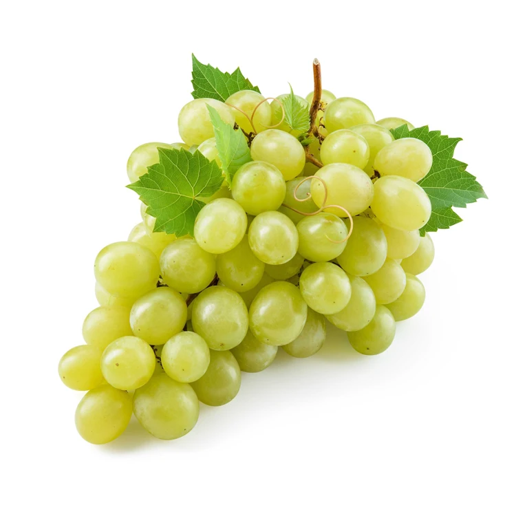Высокосладкий свежий сияемый мускатный виноград натуральный зеленый виноград без косточек с богатыми витаминами, произведенными в Австрии