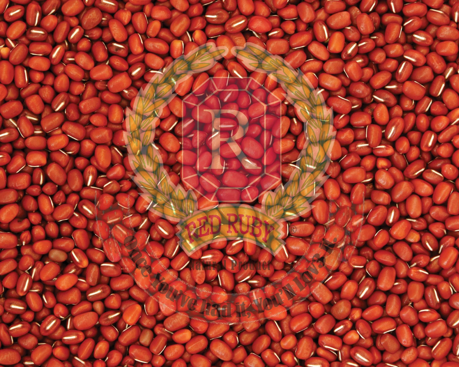 Red Bamboo Bean