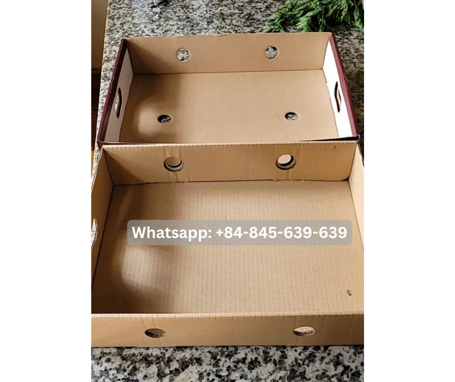 Unlock the power of nature with our range of mangosteen-based products.