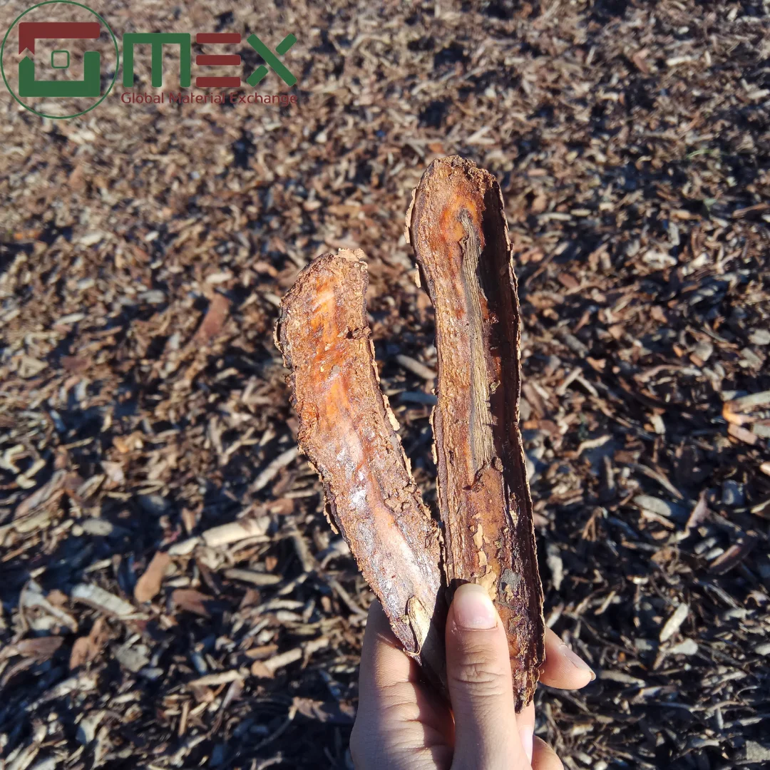 Wholesales Joss powder Tabu powder guar powder from Litea bark pure quality for making incense sticks cheap price