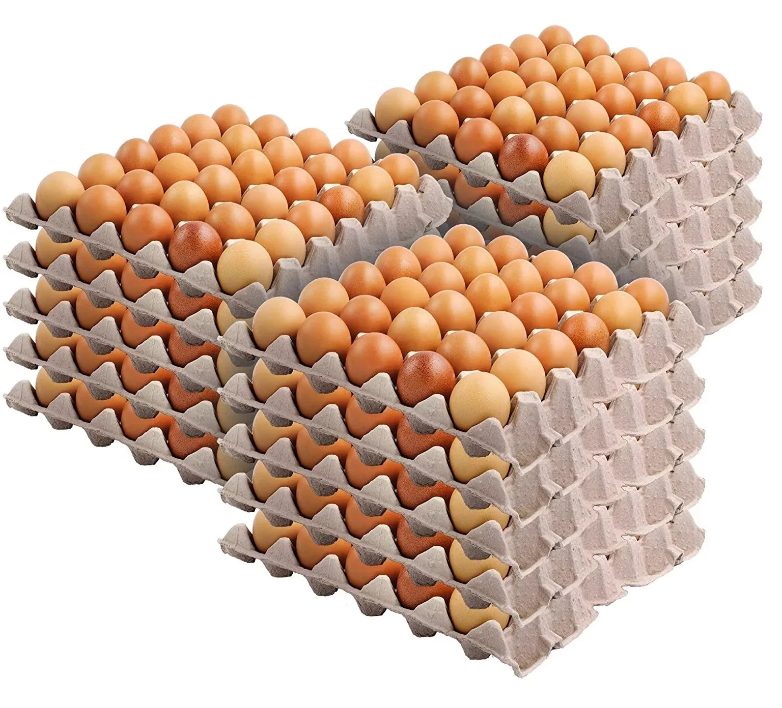Broiler Hatching Eggs Ross 308 and Cobb 500 USA Table for Sale in Bulk Fresh Chicken