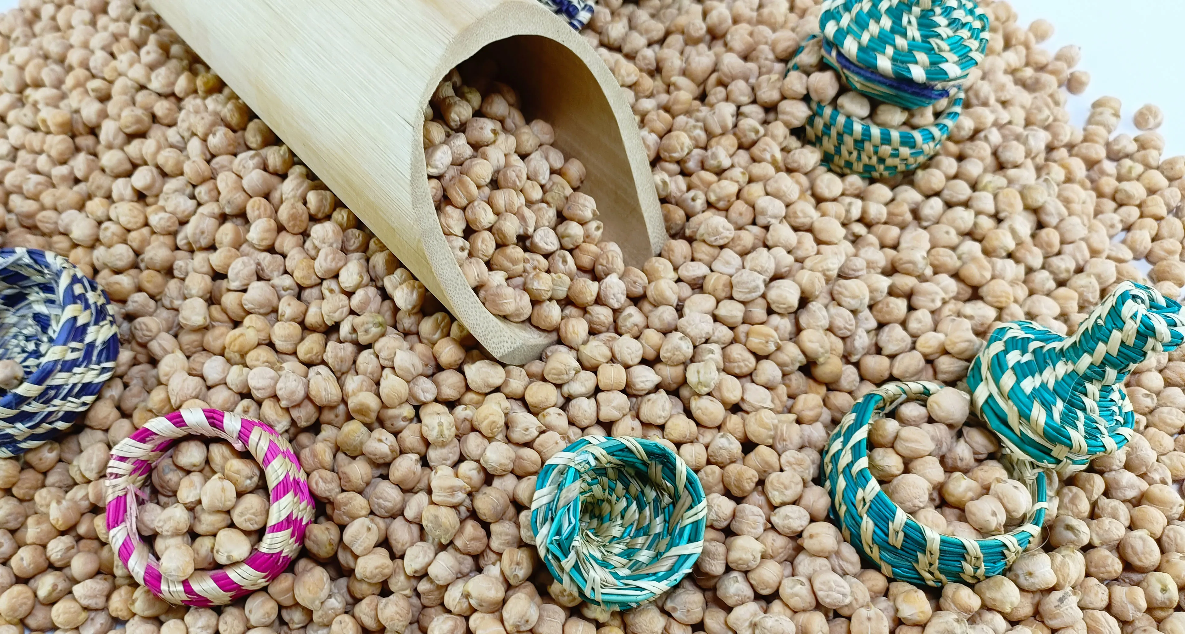 Kabuli Chickpea DP-55