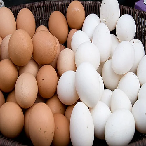 Organic Brown / White Fresh Chicken Table Eggs
