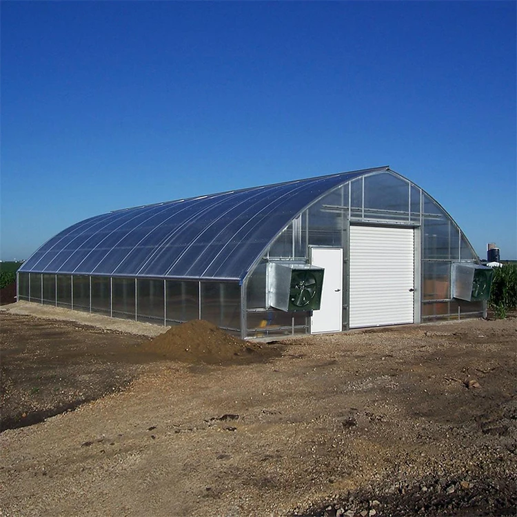 PC Board Greenhouse Single-span Arch Agricultural Polycarbonate Greenhouses For Sale