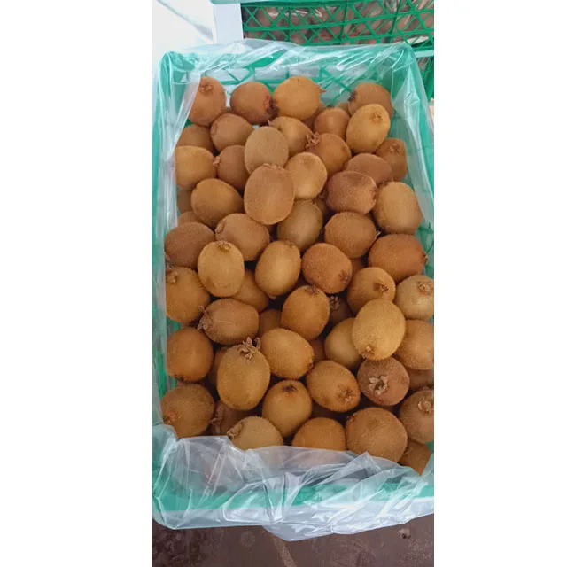 Top Sale Sweet Kiwi Fruit Peeled Frozen Kiwi IQF Export Factory Price Wholesale Egypt Kiwi Fruit Premium Grade