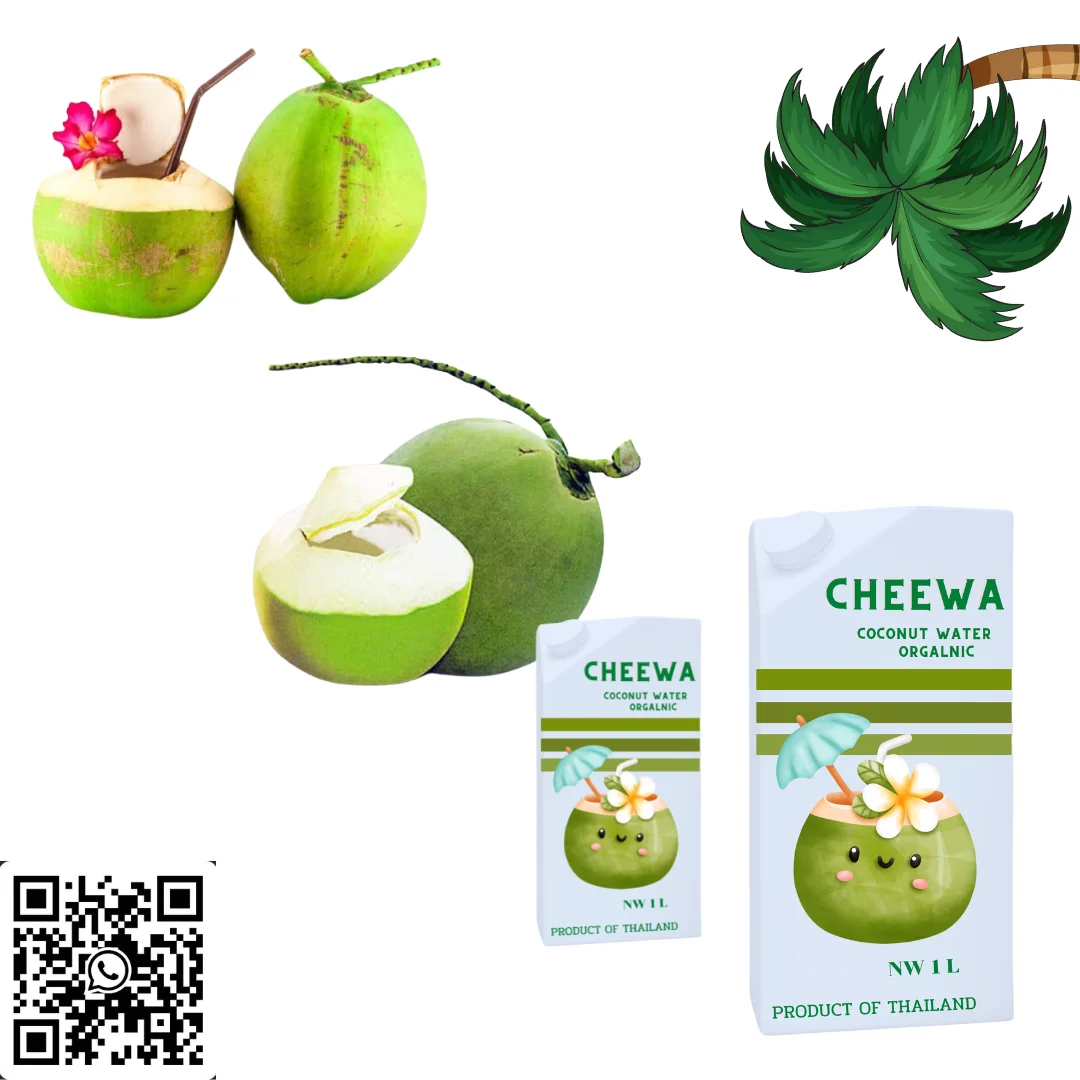 Product of Thailand Natural Drink Organic  CHEEWA Coconut Water Kancheewalanad Company OEM BOX