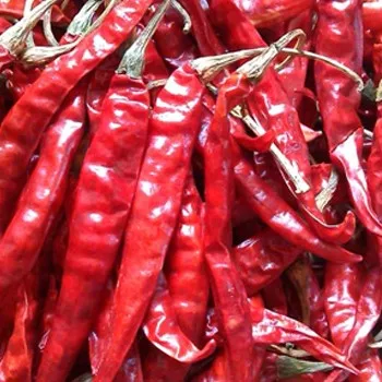 Vietnam Manufacturer Dry Red Chilies The Lowest Price Hot and Spicy Spices & Herbs Dry Red Chilli