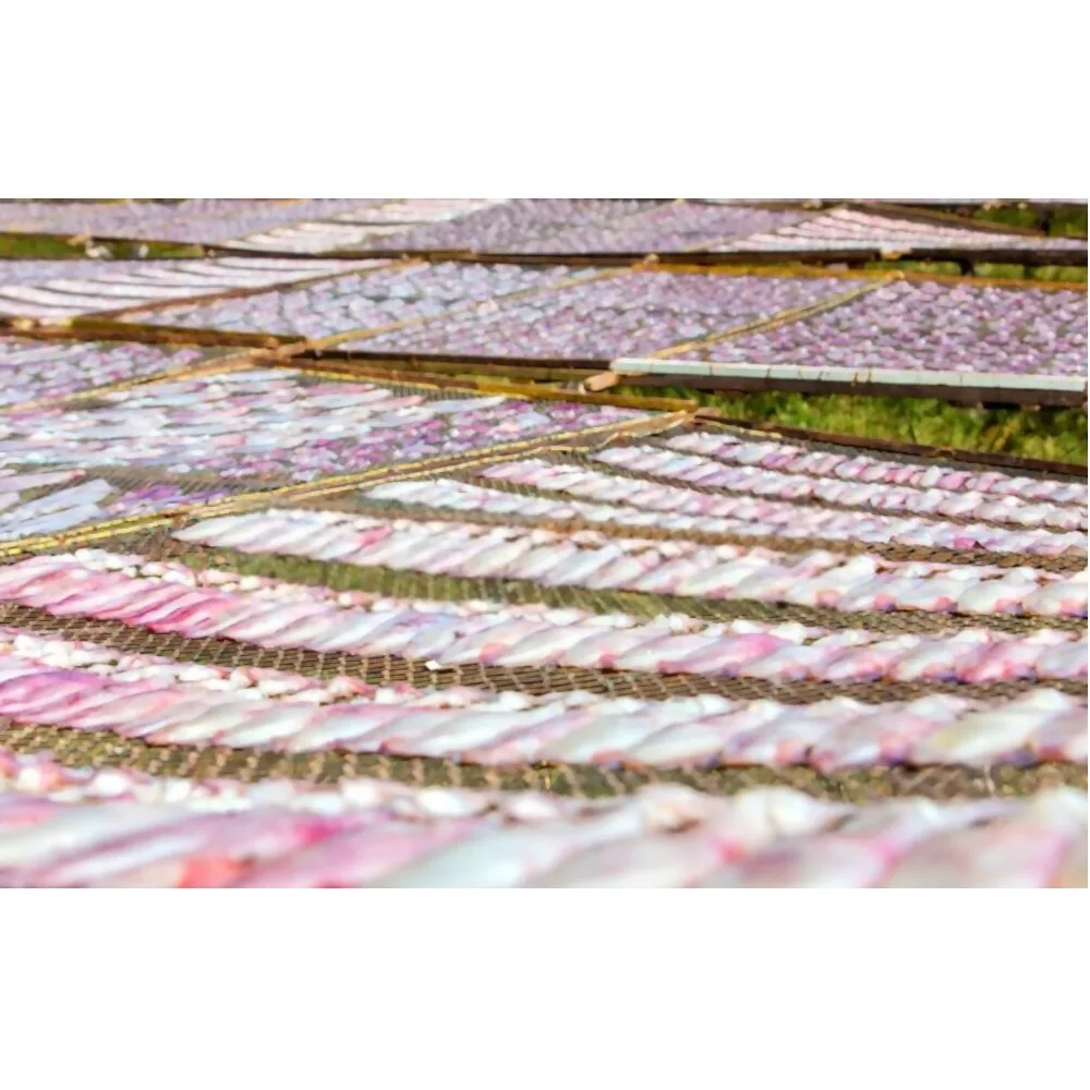 100% Fresh calamari Ingredients Manufacturer OEM Frozen Specialty Dried Squid Calamari From Vietnam Factory