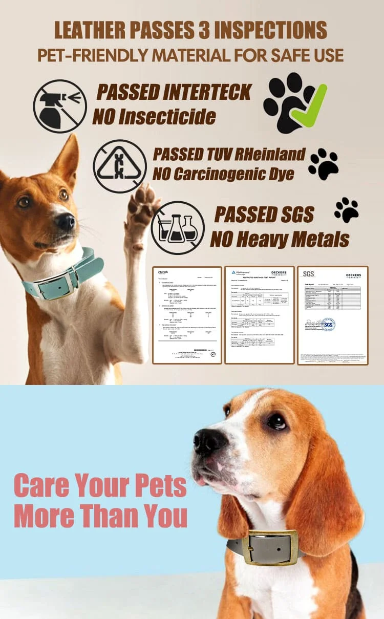 Dog Collar T16-1 N3L06