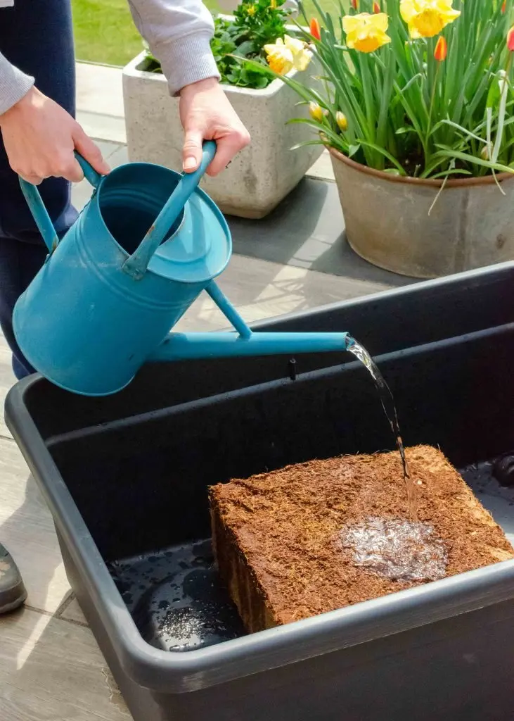 Cocopeat Block 5kg For Growing Plant Best Quality Organic Coir Pith Brand Manufacturer Wholesaler For Sale