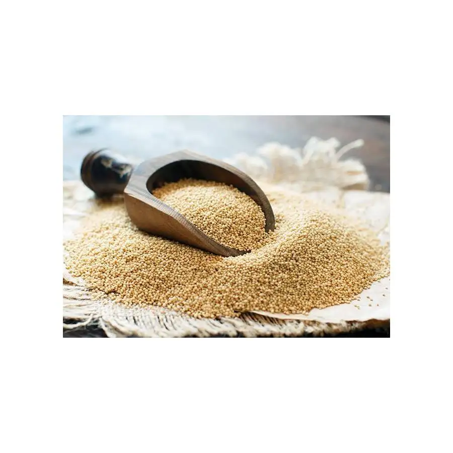 ISO factory supply high quality Amarnath Powder feed grade  fish use free sample provided Sales Manufacture In India