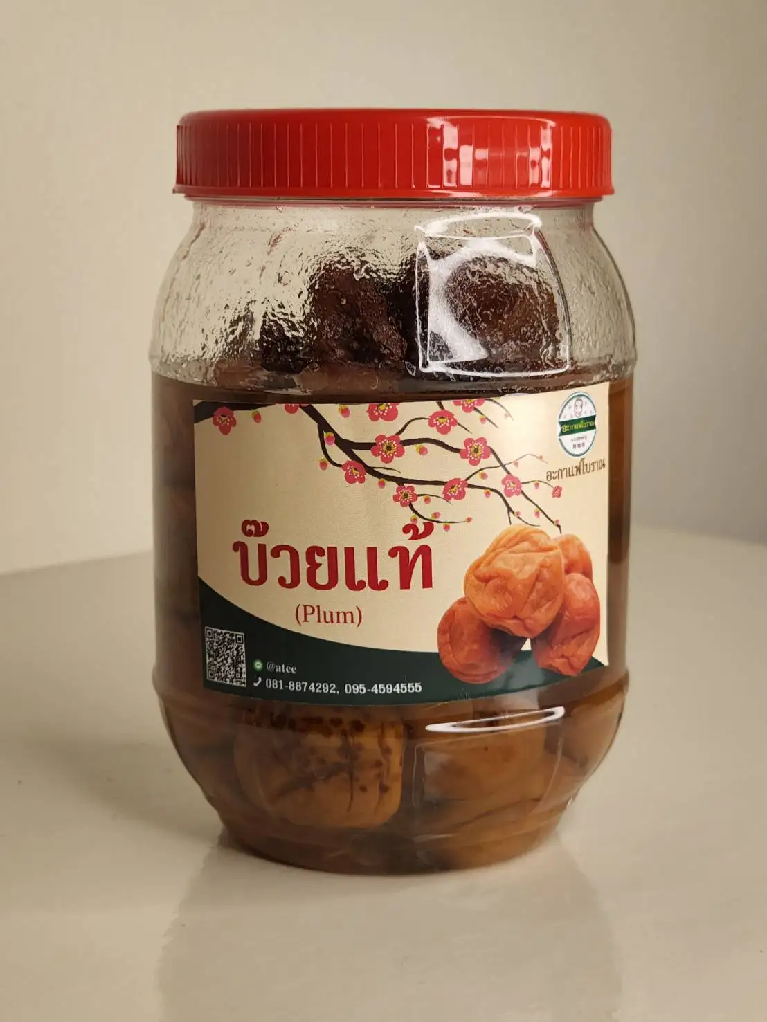 Plum High Premium Grade Plums are Firm Fluffy Not Flimsy Fresh Fruit with Beautiful Colors from Thailand