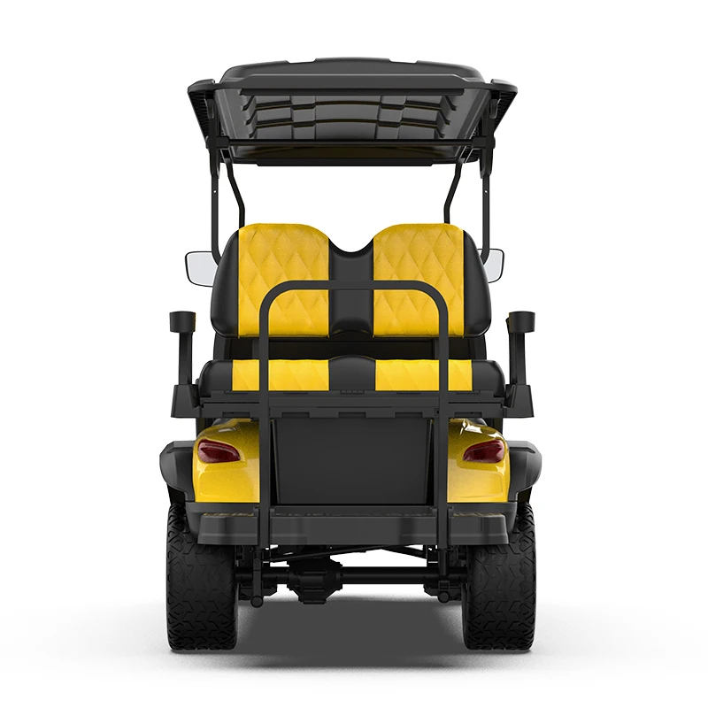 New 2 4 6 Seats ODM Service for Exclusive Brand Agent Golf Carts Electric Golf Carts