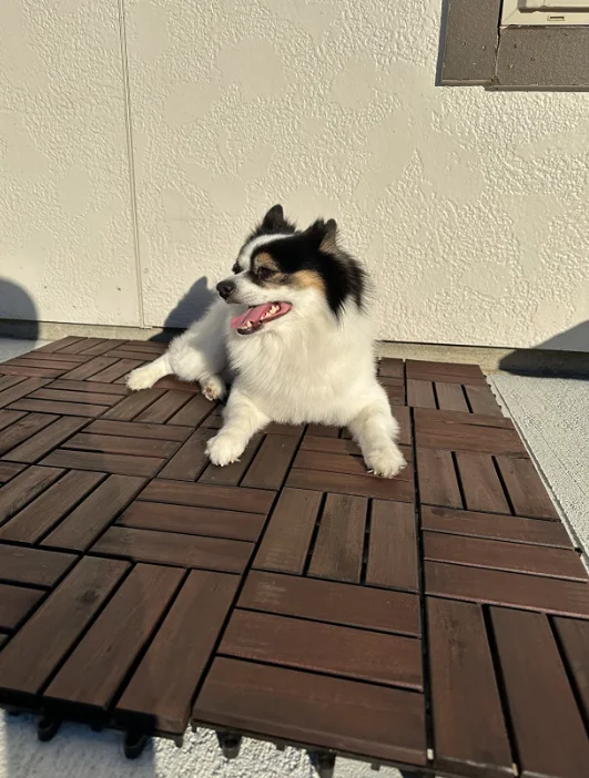 Best Seller 2023 High quality garden floor tiles acacia wood deck tiles interlocking wooden flooring pathway