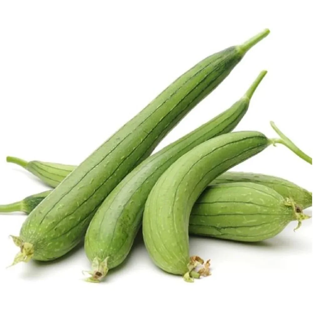 Fresh Good Packaging Organic Agriculture Color Health Natural Origin Vegetable Dhundul Sponge gourd Wholesale Reasonable Price